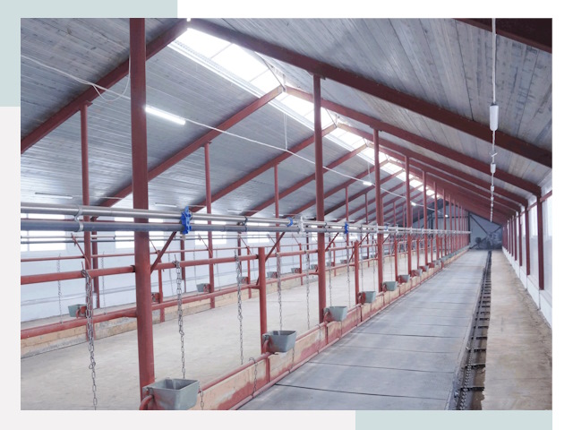 Строительство коровников в Искитиме от 612 руб.