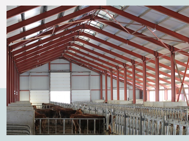 Строительство коровников в Искитиме