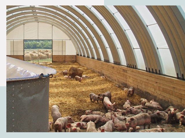 Строительство свинарников в Искитиме